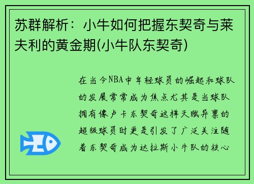 苏群解析：小牛如何把握东契奇与莱夫利的黄金期(小牛队东契奇)