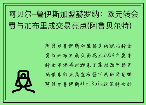 阿贝尔-鲁伊斯加盟赫罗纳：欧元转会费与加布里成交易亮点(阿鲁贝尔特)